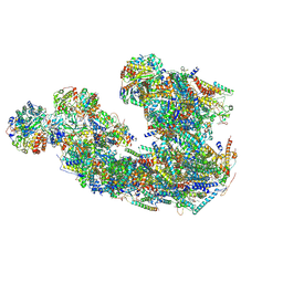 BU of 8ic2 by Molmil