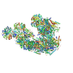 AU of 8ic2 by Molmil