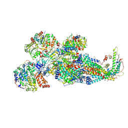 BU of 8ic3 by Molmil