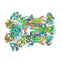 BU of 8ic5 by Molmil