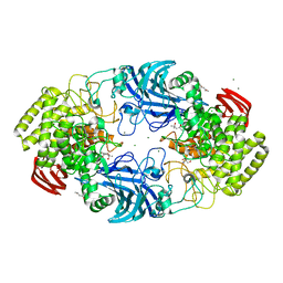 BU of 8ic6 by Molmil