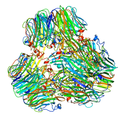 BU of 8ic8 by Molmil