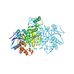 BU of 8icd by Molmil