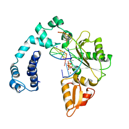 BU of 8ics by Molmil