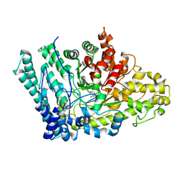 BU of 8id1 by Molmil