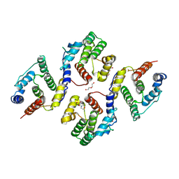 BU of 8idv by Molmil