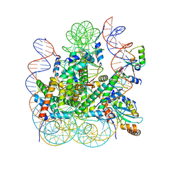 BU of 8ieg by Molmil