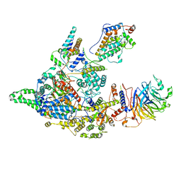 BU of 8ifg by Molmil