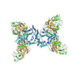 BU of 8ifl by Molmil