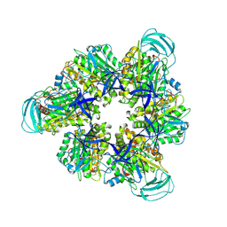 BU of 8igw by Molmil