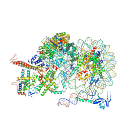 BU of 8iht by Molmil