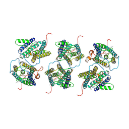 BU of 8ijr by Molmil