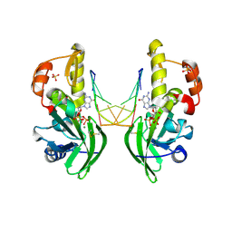 BU of 8ilh by Molmil