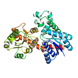 BU of 8inp by Molmil