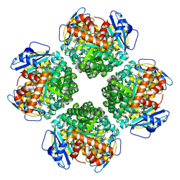 BU of 8iol by Molmil