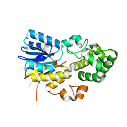 BU of 8ipi by Molmil