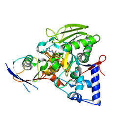 BU of 8ipj by Molmil