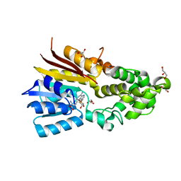 BU of 8ipk by Molmil