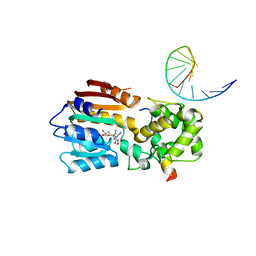 BU of 8ipm by Molmil