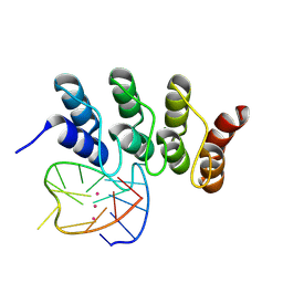 BU of 8ipp by Molmil