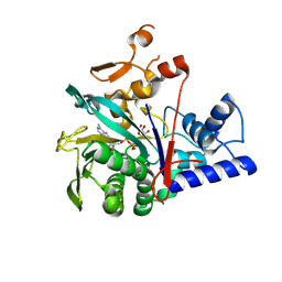 BU of 8ipw by Molmil