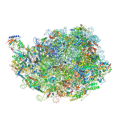 BU of 8ipx by Molmil