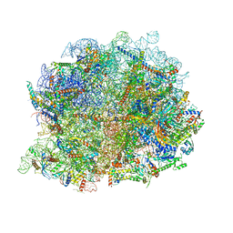 BU of 8ir1 by Molmil