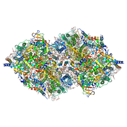 BU of 8irc by Molmil