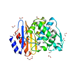 BU of 8iso by Molmil