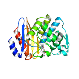 BU of 8isp by Molmil