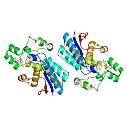 BU of 8it4 by Molmil