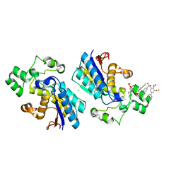 BU of 8itc by Molmil