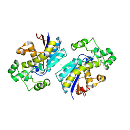 BU of 8itd by Molmil