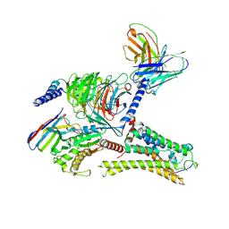 BU of 8itf by Molmil