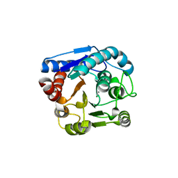 AU of 8ius by Molmil