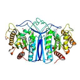 BU of 8ivt by Molmil