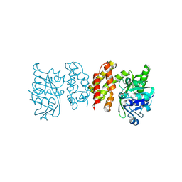 BU of 8iwg by Molmil