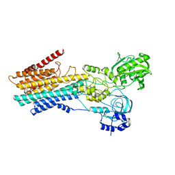 BU of 8iws by Molmil