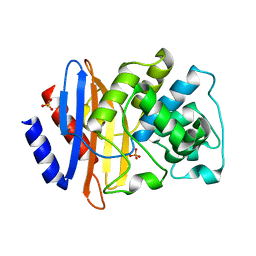 BU of 8iwv by Molmil