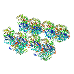 BU of 8ixb by Molmil