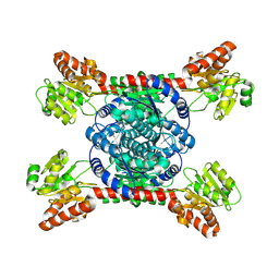 BU of 8ixp by Molmil