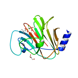 BU of 8ixv by Molmil