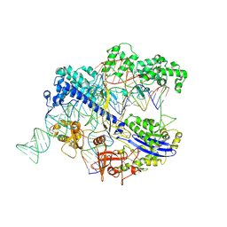 BU of 8iyq by Molmil