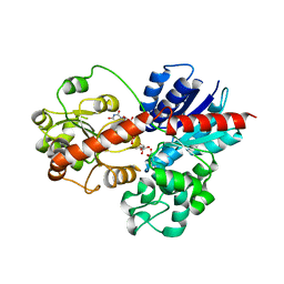 AU of 8j2s by Molmil