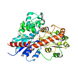 AU of 8j2t by Molmil