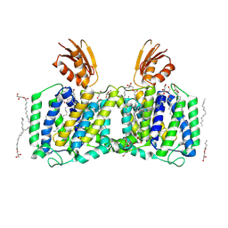 BU of 8j4c by Molmil