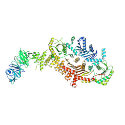 BU of 8jbe by Molmil