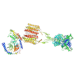 BU of 8jd3 by Molmil