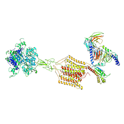 BU of 8jd5 by Molmil