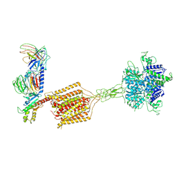 BU of 8jd6 by Molmil